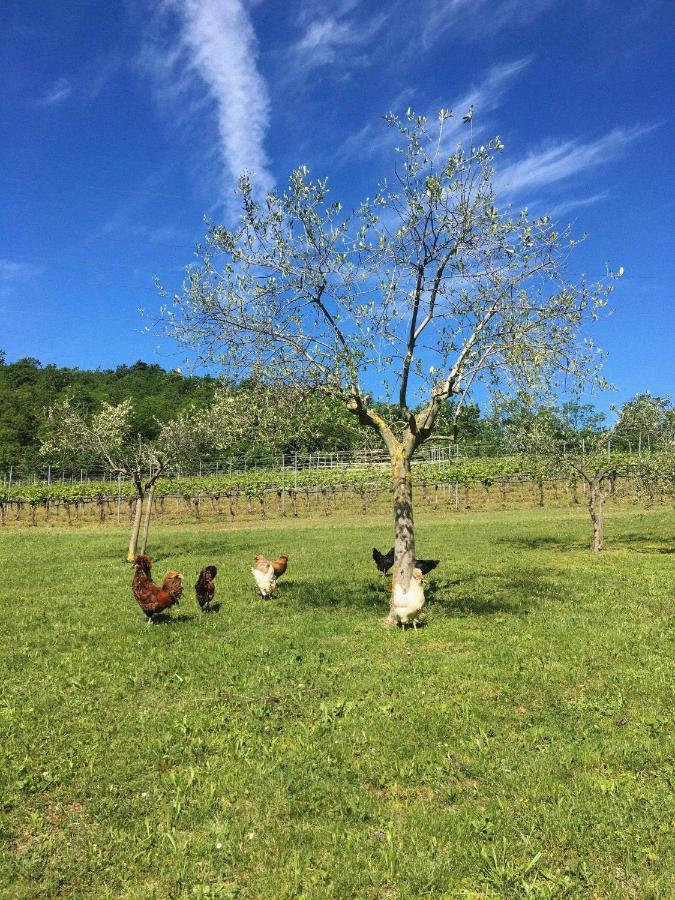Agriturismo Ca' Cristane Rivoli Veronese Exteriér fotografie