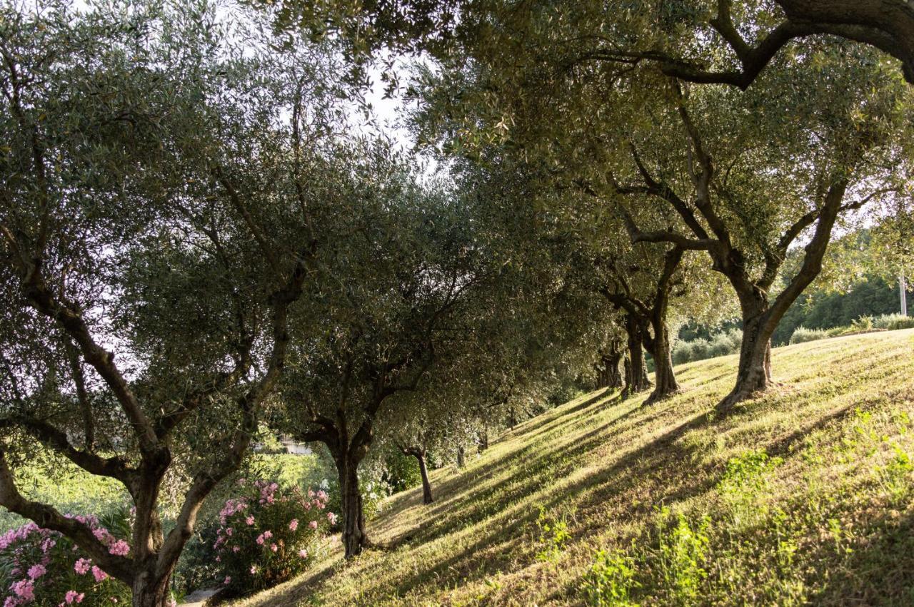 Agriturismo Ca' Cristane Rivoli Veronese Exteriér fotografie