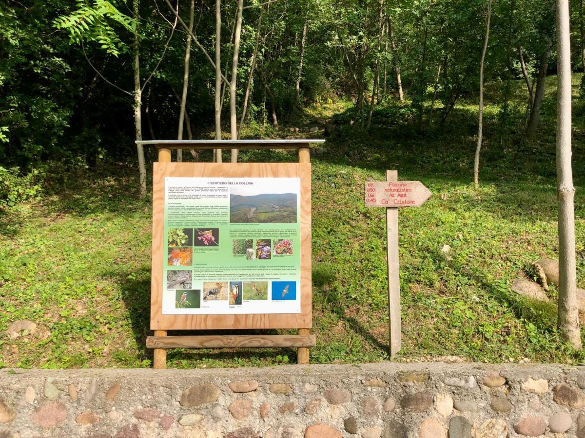 Agriturismo Ca' Cristane Rivoli Veronese Exteriér fotografie