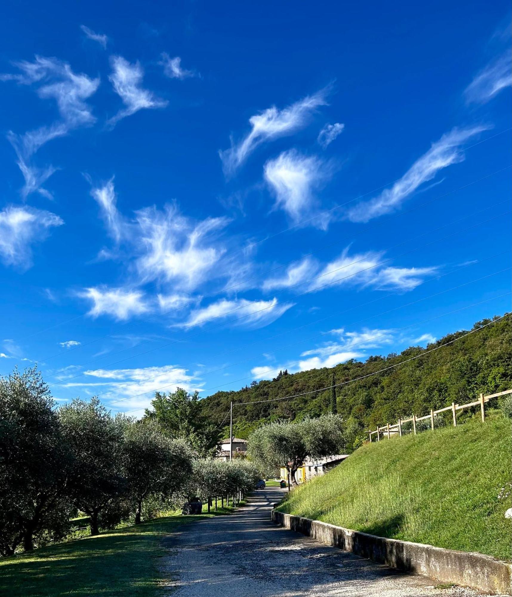 Agriturismo Ca' Cristane Rivoli Veronese Exteriér fotografie
